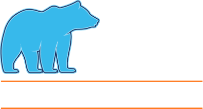 Blue Bear Total Home Services
